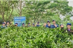 An toàn thực phẩm - nền tảng nâng tầm sản phẩm OCOP Phú Thọ