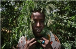 Cây chống sa mạc hóa biến thành hiểm họa sinh thái ở Kenya