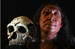 Khảo cổ học hé lộ đa dạng kỹ năng sinh tồn của người Neanderthal