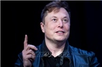 Tỷ phú Elon Musk bị chỉ trích phá hủy thương hiệu Tesla vì dấn thân chính trị