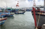 Lộ trình di dời cảng cá Quy Nhơn và vùng phụ cận ra khỏi thành phố