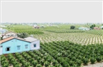 Tiền Giang xây dựng nông thôn mới nâng cao - Bài 1: Nhiều điểm sáng đáng ghi nhận