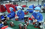 Việt Nam-Nga 2026: Cơ hội mới cho hợp tác kinh tế