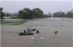 Hơn 30.000 ha lúa, hoa màu bị ngập lụt, úng