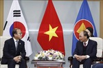 Chủ tịch nước Nguyễn Xuân Phúc tiếp các tổ chức hữu nghị, hợp tác Hàn - Việt
