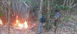 Kịp thời khống chế vụ cháy rừng trên núi Dinh