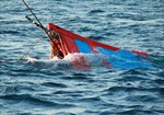 Hà Tĩnh: Kịp thời cứu 3 ngư dân bị chìm thuyền trên biển