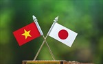 Thúc đẩy hợp tác văn hóa, giáo dục, khoa học công nghệ Việt Nam - Nhật Bản
