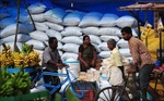 Giá gạo Ấn Độ chạm &#39;đáy&#39; của gần 3 tháng