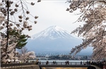 Tránh rủi ro khi xin cấp visa du lịch Nhật Bản trong mùa cao điểm