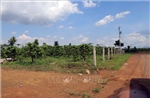 Giải tỏa 182 ha đất tái định canh phục vụ Dự án Tổ hợp Bô xít - Nhôm Lâm Đồng