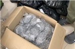 Phá vụ vận chuyển 179 kg ma túy qua đường hàng không từ Đức về Việt Nam