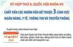 Kỳ họp thứ 8, Quốc hội khóa XV: Chất vấn các nhóm vấn đề thuộc 3 lĩnh vực