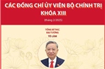 Các đồng chí Ủy viên Bộ Chính trị khóa XIII 