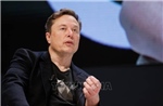 Tỷ phú Elon Musk tuyên bố sẽ tập trung 24/7 cho công việc kinh doanh