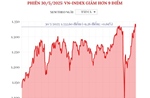 Phiên 30/5/2025: VN-Index giảm hơn 9 điểm