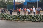 &#39;Giải cứu&#39; hàng tấn dưa hấu cho xe tải bị lật ở Vinh