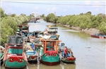 Tổ hợp tác khai thác hải sản giúp ngư dân tăng thu nhập