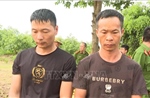 Di lý 2 nghi can để làm rõ việc xâm phạm lăng mộ vua Lê Túc Tông