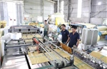 Ngành nhựa chuyển đổi xanh - Bài cuối: Giải pháp phù hợp với khả năng người Việt