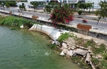 Khắc phục sụp lún, sạt lở kè Thường Thới Tiền trước mùa lũ năm 2025