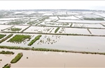 Đẩy mạnh giải phóng mặt bằng để phát triển Khu kinh tế ven biển tỉnh Thái Bình