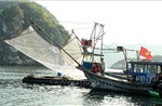 Hải Phòng khẩn trương ứng phó bão số 3