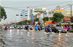 Cần Thơ sẽ thưởng &#39;nóng&#39; 50 triệu đồng cho cán bộ đưa ra giải pháp chống ngập hiệu quả
