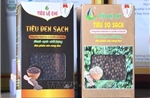 Giá hồ tiêu tăng vọt, xuất khẩu dự báo hồi phục tích cực nửa cuối năm
