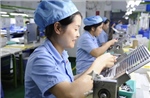 Niềm tin được củng cố, số doanh nghiệp hoạt động trở lại tăng hơn 91%