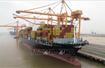 Đề xuất xem xét chấp thuận chủ trương đầu tư khu bến container Lạch Huyện