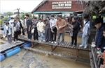 Lão nông miền Tây bỏ tiền tỷ để nuôi đàn cá sông