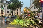 Mưa dông lớn bất ngờ quật đổ nhiều cây xanh, xe máy trên đường phố Hà Nội