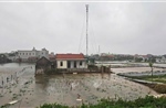 Ninh Bình có trên 74.000 ha lúa mùa bị ngập