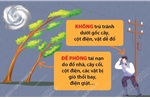 Các biện pháp phòng tránh khi bão đổ bộ