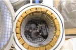Kỷ lục 75 con chuột, 1.500 ruồi giấm tham gia thí nghiệm không gian của Nga
