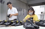 Đa dạng hóa nguồn cung nguyên liệu: Giải pháp then chốt cho sản xuất bền vững
