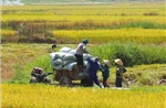 Đòn bẩy đưa nông nghiệp Việt Nam tiến đến hiện đại và xanh hóa