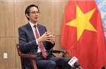 Tương đồng về lý tưởng và khát vọng giữa Việt Nam và LHQ