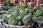 Giá nhiều loại nông sản chủ lực tại Đồng Tháp tăng trở lại