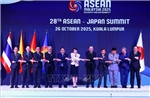 Thủ tướng Phạm Minh Chính tham dự Hội nghị Cấp cao ASEAN - Nhật Bản lần thứ 28