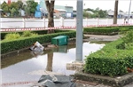 Khẩn trương điều tra vụ 2 học sinh bị điện giật tử vong khi triều cường lên cao