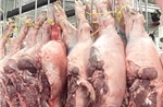 Trà trộn thịt lợn nhiễm dịch tả châu Phi để bán ra thị trường
