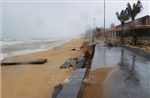 Xâm thực biển ảnh hưởng nghiêm trọng đến bãi tắm tại Quảng Trị