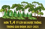 Hơn 1,4 tỷ cây đã được trồng trong giai đoạn 2021-2025