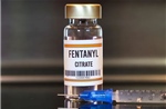 Cảnh báo về loại ma túy cực độc fentanyl, gấp 50 lần so với heroine