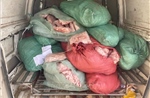 Phát hiện, xử lý vụ vận chuyển 831 kg chân gà đông lạnh bốc mùi hôi, thối