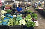 Chợ đầu mối TP Hồ Chí Minh bình ổn giá giữa biến động chi phí