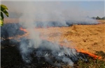 Cảnh báo nguy cơ hỏa hoạn do đốt cỏ, rác trong cao điểm mùa khô 2026