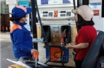 VAMA: Phần lớn dòng xe tại Việt Nam tương thích xăng E10 tiêu chuẩn Euro 4 trở lên